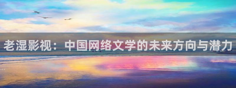 一级四虎影院：老湿影视：中国网络文学的未来方向与潜力