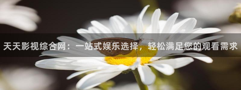 四虎影席：天天影视综合网：一站式娱乐选择，轻松满足您的观看需求