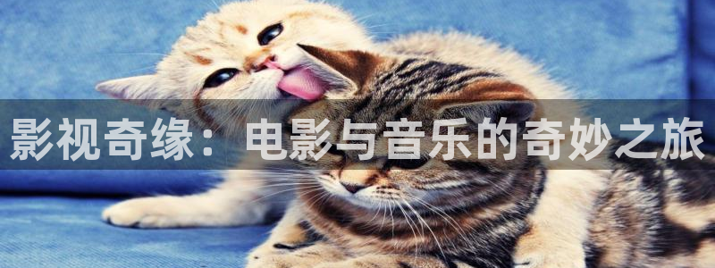 四虎影视在线免费观看：影视奇缘：电影与音乐的奇妙之旅