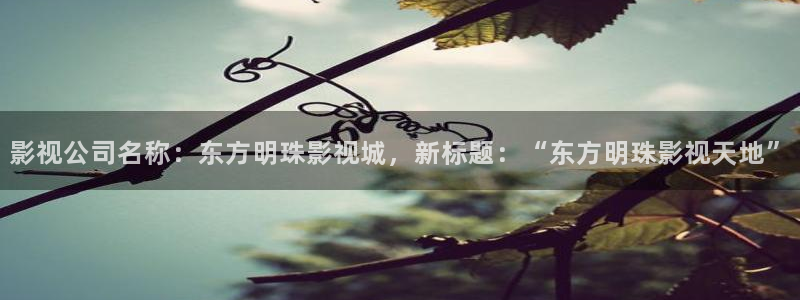 四虎影视2020骚虎：影视公司名称：东方明珠影视城，新标题：“东方明珠影视天地”