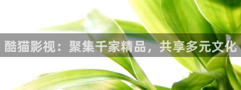 四虎电影新网址：酷猫影视：聚集千家精品，共享多元文化